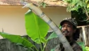 Snake Catcher Santhosh Kumar: പാമ്പിനെ പിടിക്കാൻ ശ്രമിക്കുന്നതിനിടെ കടിയേറ്റു; പാമ്പുപിടിത്തക്കാരൻ സന്തോഷ്‌ കുമാറിന് ദാരുണാന്ത്യം