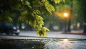 Kerala Rain Alert: സംസ്ഥാനത്ത് ഇന്നും ഇടിമിന്നലോടു കൂടിയ മഴയ്ക്ക് സാധ്യത; 3 ജില്ലകളിൽ യെല്ലോ അലർട്ട്