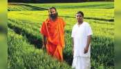 Patanjali: ഗ്രാമപ്രദേശങ്ങളിൽ പതഞ്ജലിയുടെ കാർഷിക മാതൃക വിജയിച്ചോ?