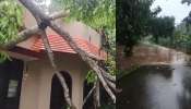 Kerala Monsoon Starts: സംസ്ഥാനത്ത് കാലവ‍ർഷം എത്തി, എട്ട് ദിവസം നേരത്തെ; ഇത്രയും നേരത്തെ കാലവർഷം എത്തുന്നത് 16 വർഷത്തിന് ശേഷം