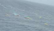 MSC Ship Accident: കാർഗോകൾ കേരള തീരത്ത് അടിഞ്ഞാൽ തൊടരുത്..! മുന്നറിയിപ്പ്
