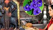 Shani Dev Favourite Flower: ശനി ദേവന് പ്രിയപ്പെട്ട ഈ പുഷ്പം അ‍‍ർപ്പിക്കൂ! ഭാ​ഗ്യം സൂര്യനേപ്പോലെ പ്രകാശിക്കും
