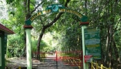 Aralam Wildlife Sanctuary: ആറളം വന്യജീവി സങ്കേതം ഇനി ചിത്രശലഭ - വന്യജീവി സങ്കേതം; പുനഃര്‍നാമകരണം ചെയ്യാൻ തീരുമാനം