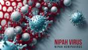 Nipah In Kerala: സംസ്ഥാനത്ത് വീണ്ടും നിപ? പാലക്കാട് സ്വദേശിനിയുടെ ആരോഗ്യനില ഗുരുതരം