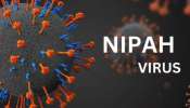 Nipah Virus Kerala: കേരളത്തിൽ വീണ്ടും നിപ; പാലക്കാട് സ്വദേശിനിക്ക് രോ​ഗം സ്ഥിരീകരിച്ചു, ഫലം പോസിറ്റീവ്