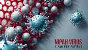Nipah Virus In Kerala: നിപ സാഹചര്യം വിലയിരുത്താന്‍ കേന്ദ്ര സംഘം കേരളത്തിലേക്ക്