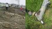Churu Plane Crash: വ്യോമസേനയുടെ ജാ​ഗ്വാർ യുദ്ധവിമാനം തകർന്ന് വീണ് പൈലറ്റ് കൊല്ലപ്പെട്ടു; അപകടം രാജസ്ഥാനിൽ