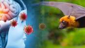 Nipah Case: പാലക്കാട് രണ്ടാമത് റിപ്പോര്‍ട്ട് ചെയ്ത നിപ കേസില്‍ സമ്പര്‍ക്ക പട്ടിക തയ്യാറാക്കി
