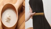 Hair Care Tips: ആഴ്ചയിൽ ഒരിക്കൽ ഉപയോ​ഗിച്ച് നോക്കൂ; മുടിയുടെ ആരോഗ്യം സംരക്ഷിക്കാൻ വേറൊന്നും ഇനി വേണ്ട..!