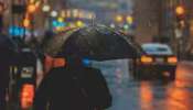 Kerala Rain Alert: രണ്ട് ന്യൂനമർദ്ദം; കേരളത്തിൽ ജൂലൈ 20 വരെ മഴ ശക്തമാകും, ഏഴ് ജില്ലകളിൽ ഓറഞ്ച് അലർട്ട് പുറപ്പെടുവിച്ചു
