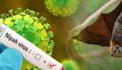 Nipah Cases Kerala: പാലക്കാട്ട് നിപ ബാധിച്ച് മരിച്ചയാളുടെ മകനും രോ​ഗം സ്ഥിരീകരിച്ചു