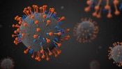 Nipah: നിപയെന്ന് സംശയം; 15കാരി ആശുപത്രിയിൽ, പരിശോധനാ ഫലം വന്ന ശേഷം തുടർനടപടികൾ