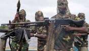 Niger Terror Attack: നൈജറിൽ ഭീകരാക്രമണത്തിൽ രണ്ട് ഇന്ത്യക്കാർ കൊല്ലപ്പെട്ടു, ഒരാളെ തട്ടിക്കൊണ്ടുപോയി; ജാ​ഗ്രത നിർദേശം നൽകി ഇന്ത്യൻ എംബസി