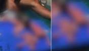 Brutal Video In Instagram: പൂച്ചയെ കൊന്ന് കഷ്ണങ്ങളാക്കി മാംസം അടിച്ചുപരത്തി വീഡിയോ പങ്കുവച്ചു; യുവാവിനെതിരെ കേസെടുത്ത് പോലീസ്