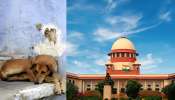 Stray Dogs: തെരുവുനായ ശല്യം; പൊതുയിടങ്ങളിൽ നിന്നും നായ്ക്കളെ നീക്കാൻ ഉത്തരവുമായി സുപ്രീംകോടതി Stray Dogs: തെരുവുനായ ശല്യം; പൊതുയിടങ്ങളിൽ നിന്നും നായ്ക്കളെ നീക്കാൻ ഉത്തരവുമായി സുപ്രീംകോടതി