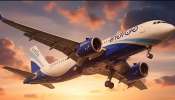 IndiGo: ഇൻഡിഗോ പ്രതിസന്ധി: ഇന്ത്യൻ വ്യോമയാനത്തിലെ കുത്തക ഭരണം; സർക്കാർ ഇളവുകൾ നൽകിയത് ആർക്കുവേണ്ടി?
