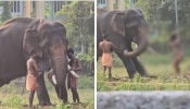 Infant Falls Near Elephant: ഹരിപ്പാട് ആനയ്ക്ക് മുമ്പിൽ കുഞ്ഞ് വീണ സംഭവം: പിതാവും താത്കാലിക പാപ്പാനുമായ അഭിലാഷ് അറസ്റ്റിൽ