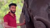 Elephant Attack: കുളിപ്പിക്കുന്നതിനിടെ ആന ആക്രമിച്ചു; കോട്ടൂരിൽ പാപ്പാന് ദാരുണാന്ത്യം