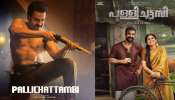 Pallichattambi Movie: ടോവിനോയുടെ ആക്ഷനും പൃഥ്വിരാജിന്റെ തകർപ്പൻ ഗസ്റ്റ് റോളും; പള്ളിച്ചട്ടമ്പി ബോക്സ് ഓഫീസിൽ കുതിക്കുന്നു