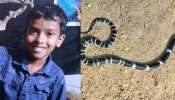 Snake Bite: തലയണയുടെ അടിയിൽ വിഷപ്പാമ്പ്, ഉറങ്ങിക്കിടന്ന കുട്ടികൾക്ക് പാമ്പുകടിയേറ്റു; എട്ട് വയസുകാരൻ മരിച്ചു, ജ്യേഷ്ഠന്റെ നില ​ഗുരുതരം