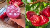 Rose Apple Cooler: വേനലിൽ വീട്ടിലെത്തുന്ന അതിഥികൾക്ക് ഒരു സ്പെഷ്യൽ ഡ്രിങ്ക് ആയാലോ? സൂപ്പറാണ് ഈ റോസ് ആപ്പിൾ കൂളർ..!