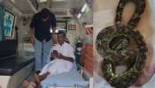 Snake Bite: പോത്തിനെ തീറ്റിക്കുന്നതിനിടെ പാമ്പ് കടിയേറ്റു; കടിച്ച പാമ്പിനെ കവറിലാക്കി ആശുപത്രിയിലെത്തി മധ്യവയസ്കന്‍
