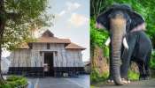 Thrissur News: കൂടൽമാണിക്യം ക്ഷേത്രത്തിൽ മൂന്നാമതും ആന ഇടഞ്ഞു; തളച്ച തെങ്ങ് മറിച്ചിട്ട് ആന Thrissur News: കൂടൽമാണിക്യം ക്ഷേത്രത്തിൽ മൂന്നാമതും ആന ഇടഞ്ഞു; തളച്ച തെങ്ങ് മറിച്ചിട്ട് ആന