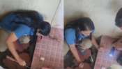 Taluk Hospital Vithura: താലൂക്ക് ആശുപത്രിയിൽ അണലി; കാഷ്വാലിറ്റിയിലെ സ്റ്റെപ്പിനടിയിൽ നിന്ന് ആർആർടി സംഘം പിടികൂടി