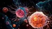 Amoebic Meningoencephalitics: കേരളത്തില് വീണ്ടും അമീബിക് മസ്തിഷ്കജ്വരം; സ്ഥിരീകരിച്ചത് ആറാട്ടുപുഴ സ്വദേശിനിക്ക് Amoebic Meningoencephalitics: കേരളത്തില് വീണ്ടും അമീബിക് മസ്തിഷ്കജ്വരം; സ്ഥിരീകരിച്ചത് ആറാട്ടുപുഴ സ്വദേശിനിക്ക്