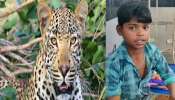 കൊല്ലാനെത്തിയ പുള്ളിപ്പുലിയുടെ കഴുത്തിനു പിടിച്ചു നിർത്തി 13 കാരൻ; സംഭവം മധ്യപ്രദേശിൽ കൊല്ലാനെത്തിയ പുള്ളിപ്പുലിയുടെ കഴുത്തിനു പിടിച്ചു നിർത്തി 13 കാരൻ; സംഭവം മധ്യപ്രദേശിൽ