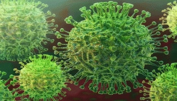 UK Coronavirus Variant: രാജ്യം ആശങ്കയില്‍,  ജനിതക  മാറ്റം വന്ന വൈറസ്  വ്യാപിക്കുന്നു