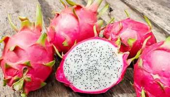 Dragon Fruit ഇനി &#039;കമലം&#039; എന്ന പേരിൽ അറിയപ്പെടും