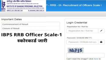 IBPS RRB Officer Scale-1 Scorecard Released: ഈ ലിങ്കിൽ നിന്നും നേരിട്ട് ഡൗൺലോഡ് ചെയ്യാം