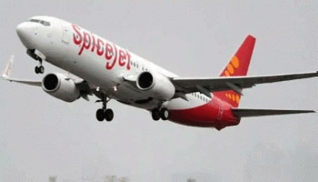 Spice Jet: ആഭ്യന്തരയാത്രക്കാര്‍ക്കായി 66 സർവീസുകൾകൂടി  പ്രഖ്യാപിച്ച്  സ്പൈസ് ജെറ്റ്