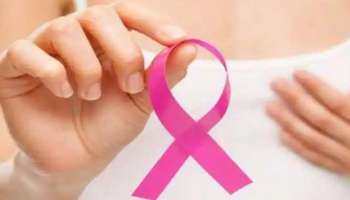 Breast Cancer: മുപ്പതാം വയസ്സിന് ശേഷം ഗർഭ ധരിക്കുന്നവരിൽ സ്തനാർബുദത്തിന് സാധ്യതയേറെയെന്ന് പഠനം