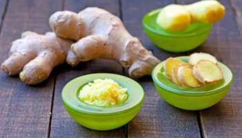 Ginger in summer: വേനൽക്കാലത്ത് ഇഞ്ചി കഴിക്കണോ വേണ്ടയോ? അറിയാം ഗുണങ്ങളും ദോഷങ്ങളും..