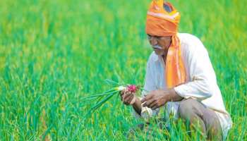 Good News: PM Kisan ന്റെ അടുത്ത ഗഡു ഈ ശുഭദിനത്തിൽ ലഭിക്കും