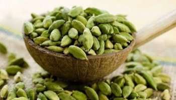 Cardamom Benefit: ഏലയ്ക്കയുടെ ഉപയോഗം ശ്വാസകോശത്തിന് ഉത്തമം, അറിയാം ഗുണങ്ങൾ..