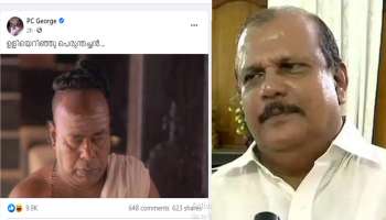 ഉളിയെറിഞ്ഞ് പെരുന്തച്ചൻ; രണ്ടാം പിണറായി മന്ത്രിസഭയെ വിമർശിച്ച് PC  George 