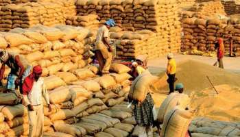 Paddy procurement:നെല്ല് സംഭരണത്തിൽ വർധനവ്,ഇതു വരെ സംഭരിച്ചത് 7.29 ലക്ഷം മെട്രിക് ടൺ നെല്ല്