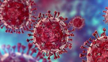 Coronavirus : അമേരിക്കയിൽ കൊറോണവൈറസ് സാന്നിധ്യം 2019 ഡിസംബറിൽ തന്നെ ഉണ്ടായിരിക്കാൻ സാധ്യതയെന്ന് പഠനം