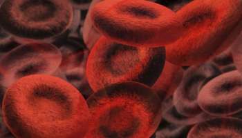 World Sickle Cell Day : എന്താണ് അരിവാൾ രോഗം , ലക്ഷണങ്ങൾ എന്തൊക്കെ ? അറിയേണ്ടതെല്ലാം