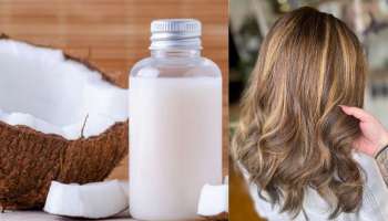 Hair Care Remedis: തേങ്ങാപ്പാലിനുളളിലെ ഹെയർ-കെയർ രഹസ്യങ്ങൾ