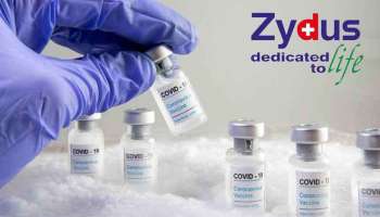 Zydus Cadila Vaccine : 12 മുതൽ 18 വയസ്സ് വരെ പ്രായമുള്ളവർക്ക് സൈഡസ് കാഡില വാക്‌സിൻ ഉടൻ ലഭ്യമാക്കുമെന്ന് കേന്ദ്ര സർക്കാർ