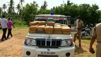 തിരുവനന്തപുരത്ത് വൻ കഞ്ചാവ് വേട്ട; രണ്ടുപേർ അറസ്റ്റിൽ 