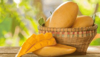 Sugar Free mangoes: പ്രമേഹ രോഗികൾക്ക് സന്തോഷത്തോടെ കഴിയ്ക്കാം,  വരുന്നു Sugar Free മാമ്പഴം..!! 