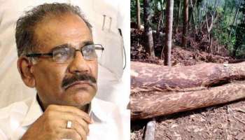 Muttil Tree Felling Case: മരം മുറി കേസിൽ പഴുതടച്ച അന്വേഷണം നടക്കുന്നുണ്ടെന്ന് വനം മന്ത്രി, വേദിയിൽ തൊട്ടടുത്ത് കേസിലെ കുറ്റാരോപിതൻ എൻ.ടി സാജനും