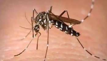 Zika Virus പ്രതിരോധം; തിരുവനന്തപുരം ജില്ലാ മെഡിക്കൽ ഓഫീസിൽ കൺട്രോൾ റൂം ആരംഭിച്ചു