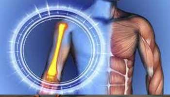 Bone Health : എല്ലുകളുടെ ആരോഗ്യം വർധിപ്പിക്കാൻ കാൽസ്യവും, വിറ്റാമിൻ ഡിയും മാത്രം പോര, മറ്റ് ചില ന്യുട്രിയൻറ്സ് കൂടി വേണം 