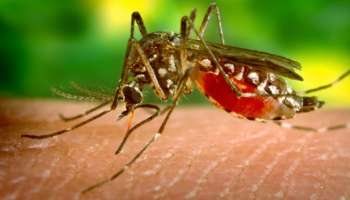 സംസ്ഥാനത്ത് മൂന്ന് പേർക്ക് കൂടി Zika Virus സ്ഥിരീകരിച്ചതായി ആരോ​ഗ്യമന്ത്രി